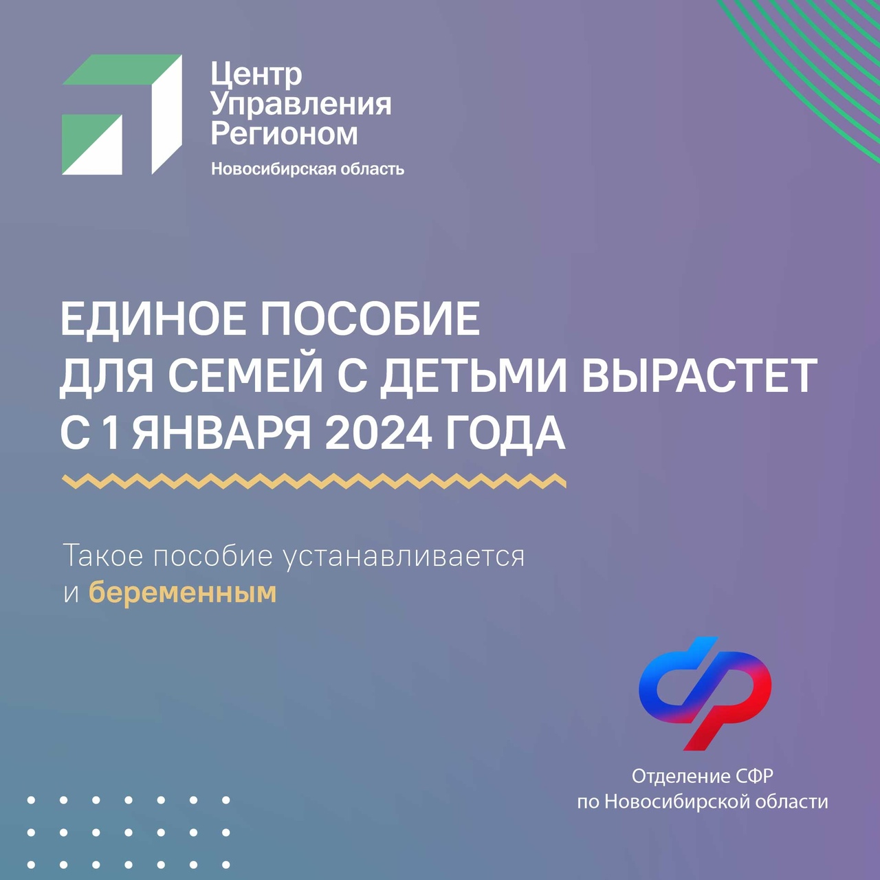 Единое пособие в москве 2025 сумма. Московская неделя общественного здоровья 2025.