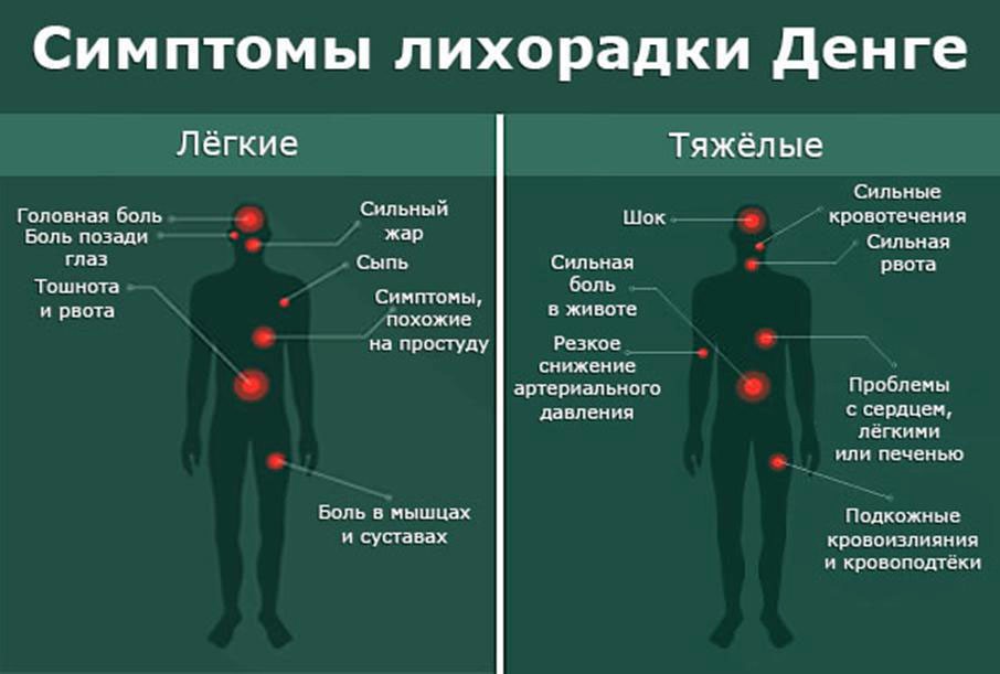 Лихорадка симптомы фото