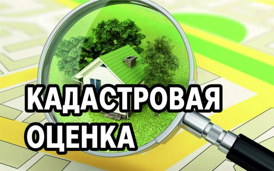 Об итогах государственной кадастровой оценки зданий, помещений, сооружений, объектов незавершенного строительства, машино-мест на территории Новосибирской области