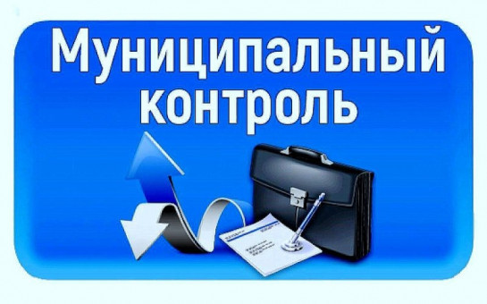 Муниципальный контроль за соблюдением требований к деятельности экскурсоводов (гидов), гидов-переводчиков и инструкторов-проводников