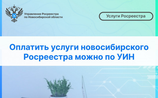 Оплатить услуги новосибирского Росреестра можно по УИН