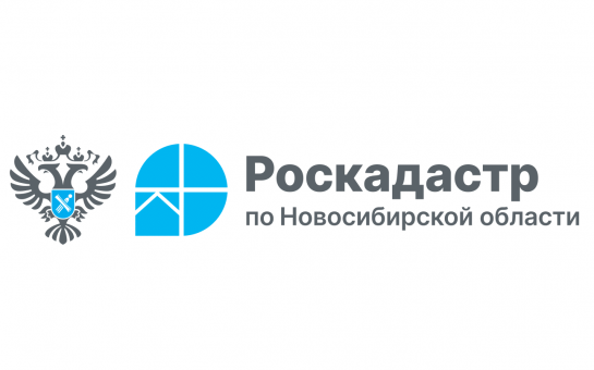 «Дачной амнистии» 19 лет