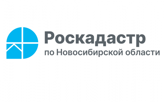 За полгода жители Новосибирской области получили более 60 тысяч выписок о кадастровой стоимости