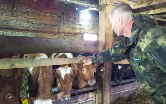 Министерством сельского хозяйства Новосибирской области объявлен конкурсный отбор на Грант Агрозащитник