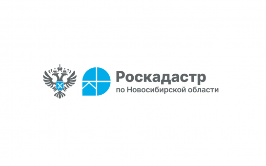Новосибирцам рассказали о возможностях платформы «Национальная система пространственных данных»